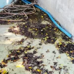 Piso industrial com detritos antes da limpeza e do revestimento
