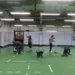 Equipe aplicando uretano verde em área de produção